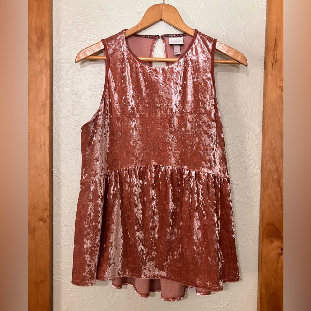 Knox Rose Blush Velvet Top